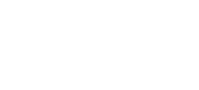 ninja logo